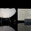 Gebel Kamil 54.6 Grams with specimen card