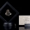 NWA 11182 3.6 Grams with specimen ID card