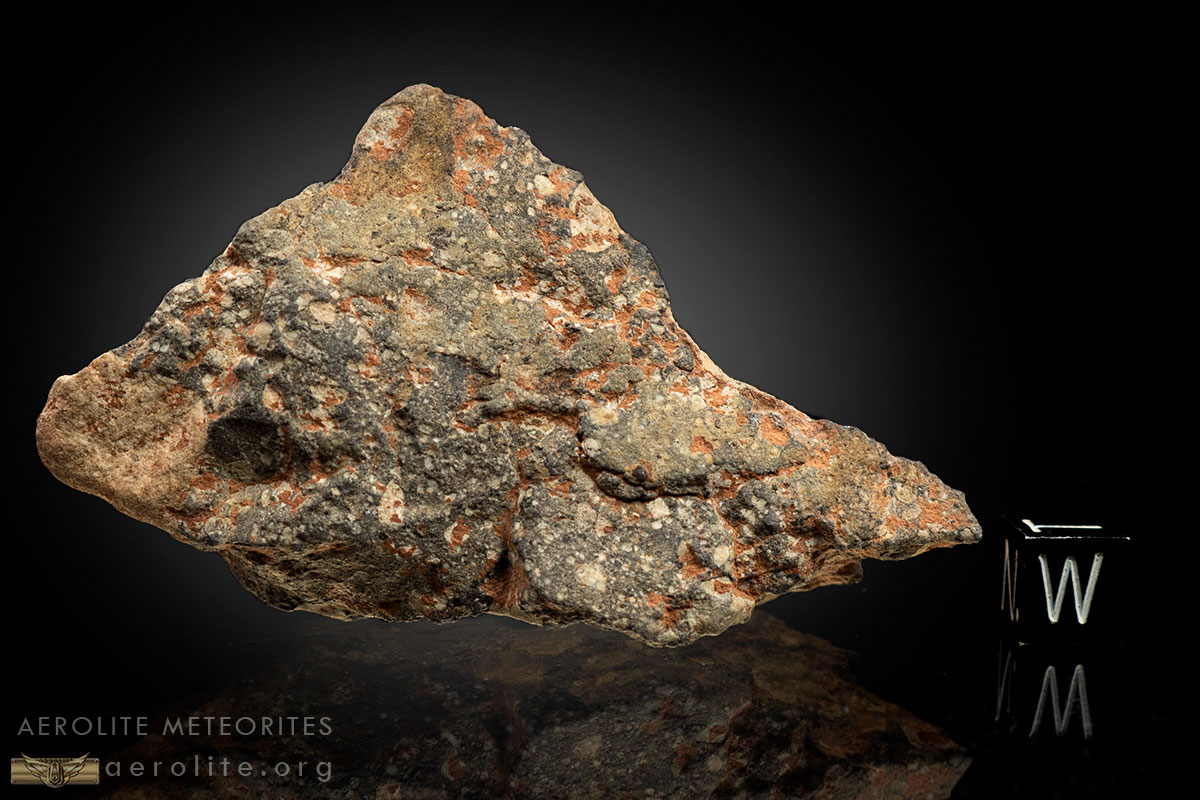 S.V.F NWA Sliced  Meteorite specimen in display box Astronomy gift 