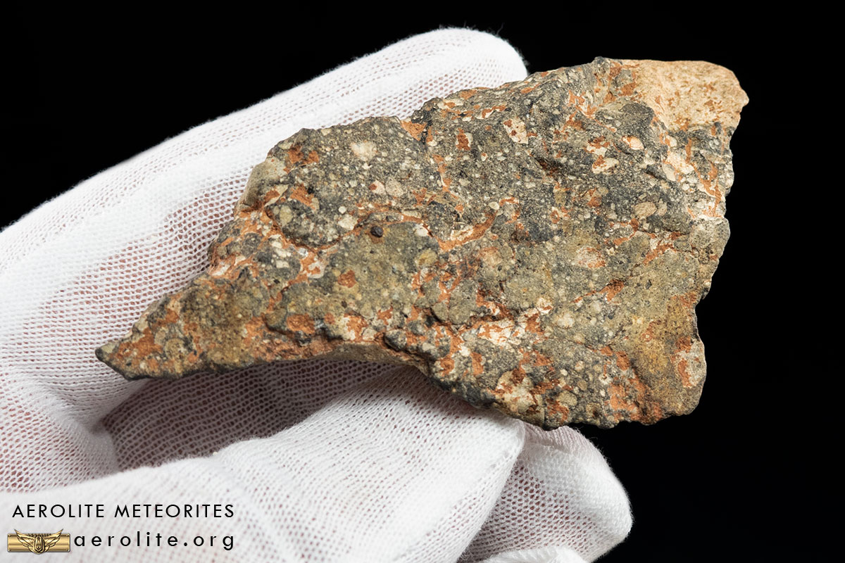 NWA Sliced  Meteorite specimen in display box S.V.F Astronomy gift 