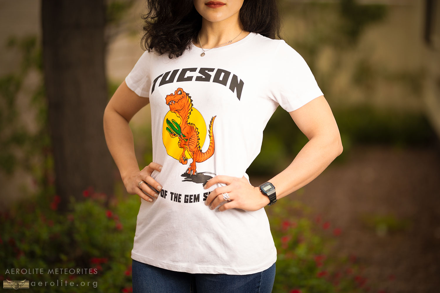 Tucson-gem-show-tshirt-i