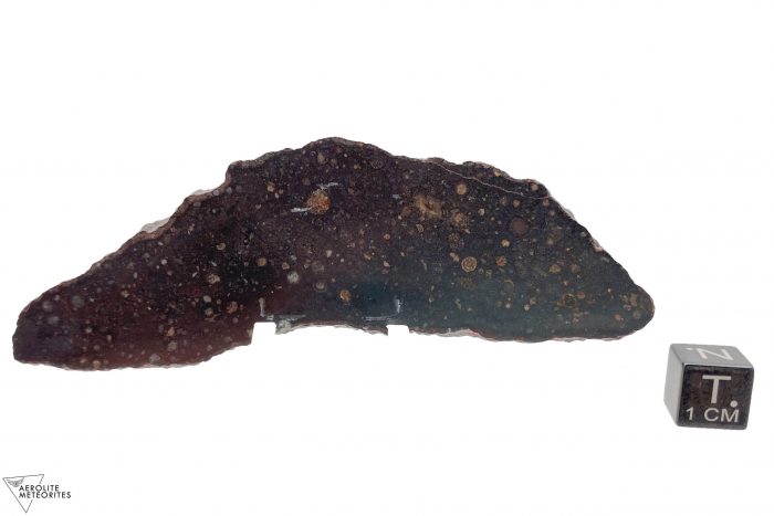 dag 521 cv3 meteorite slice