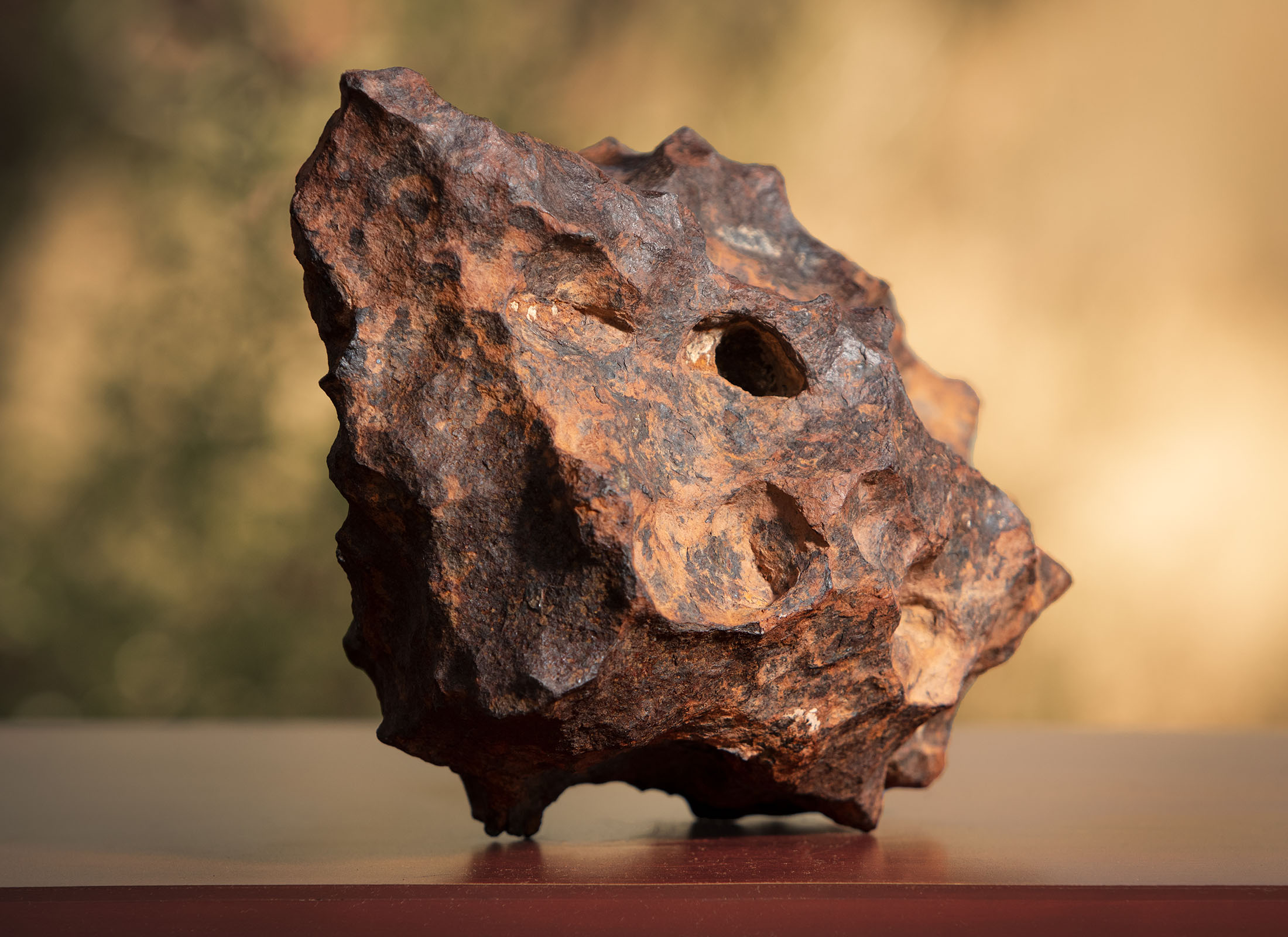 canyon diablo iron meteorite