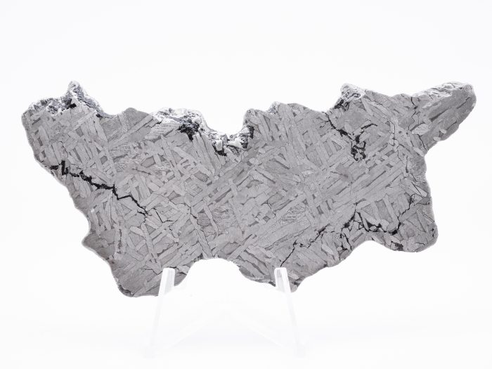 iron meteorite slice 6903