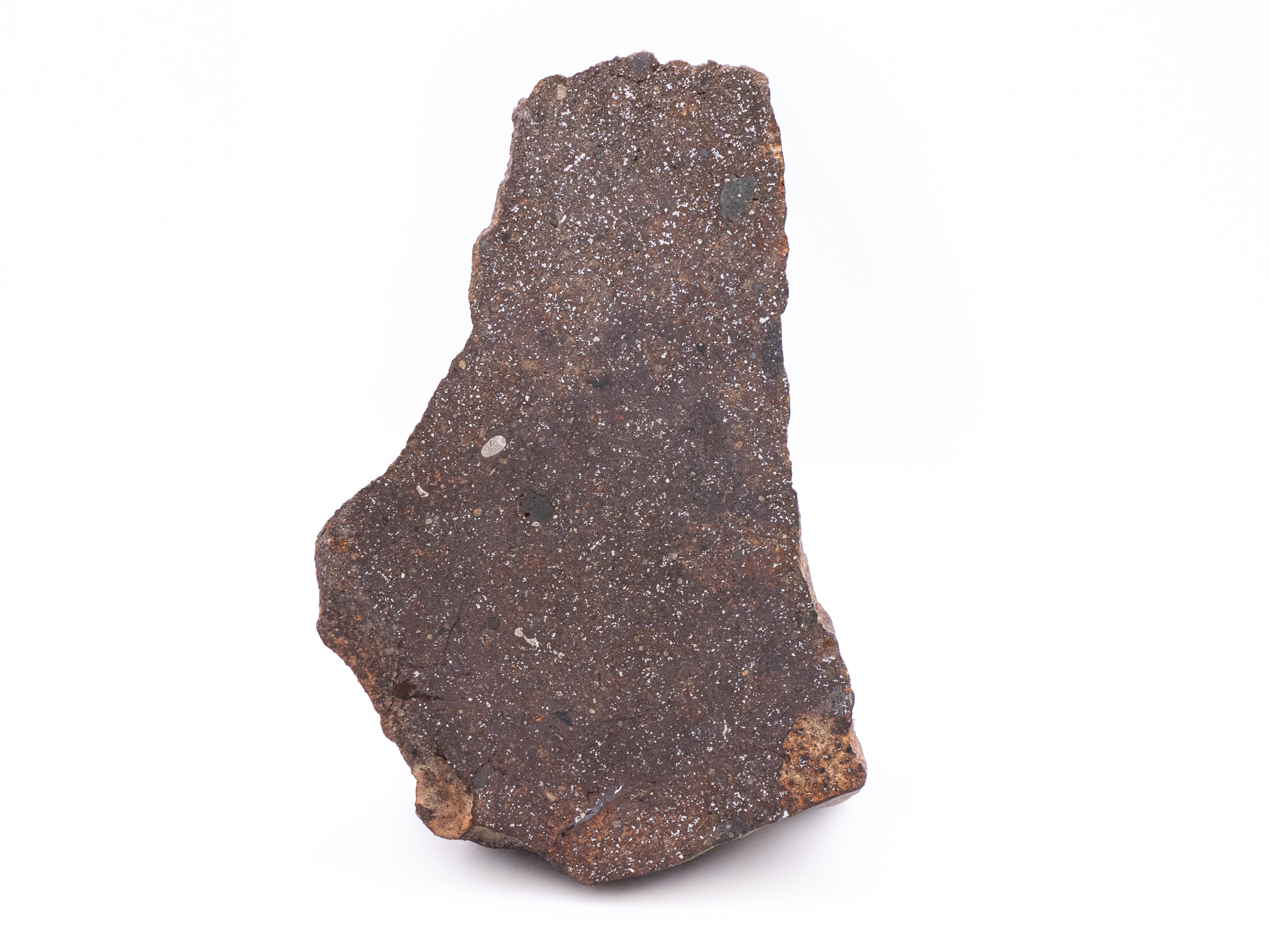 stone meteorite 1362