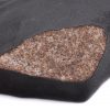 stone meteorite chondrite