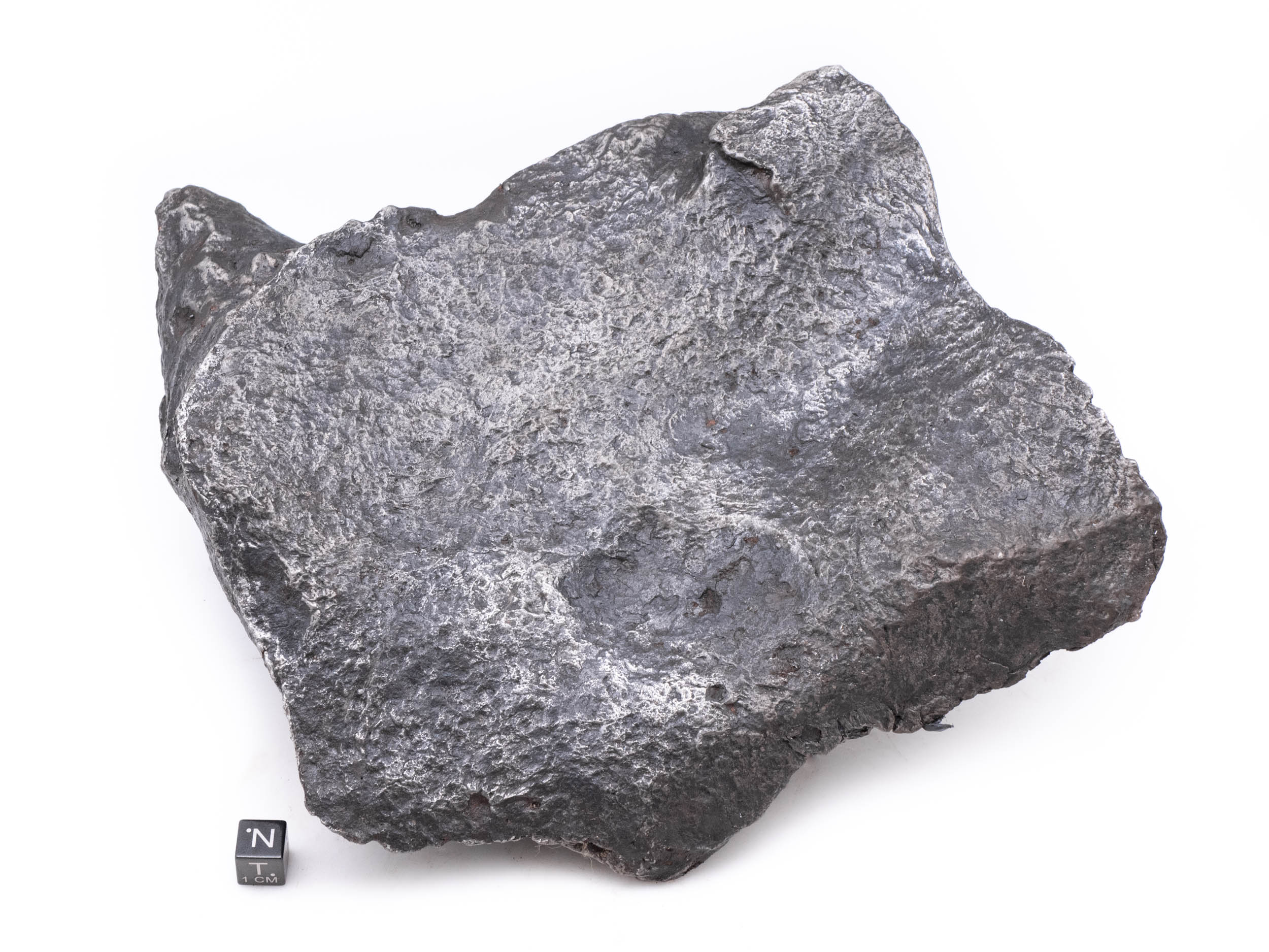 Iron Meteorite in Display Case Argentina Campo del Cielo Meteorite 