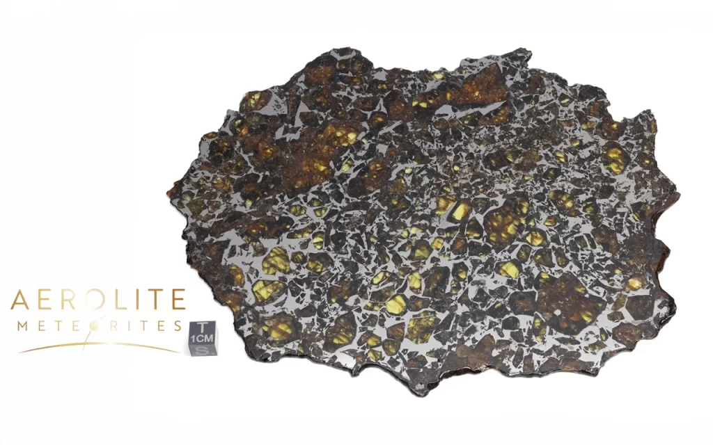 admire pallasite meteorite