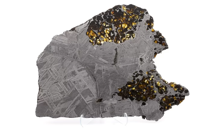 seymchan pallasite 1156g