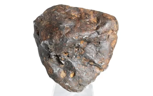 sericho pallasite meteorite 272g