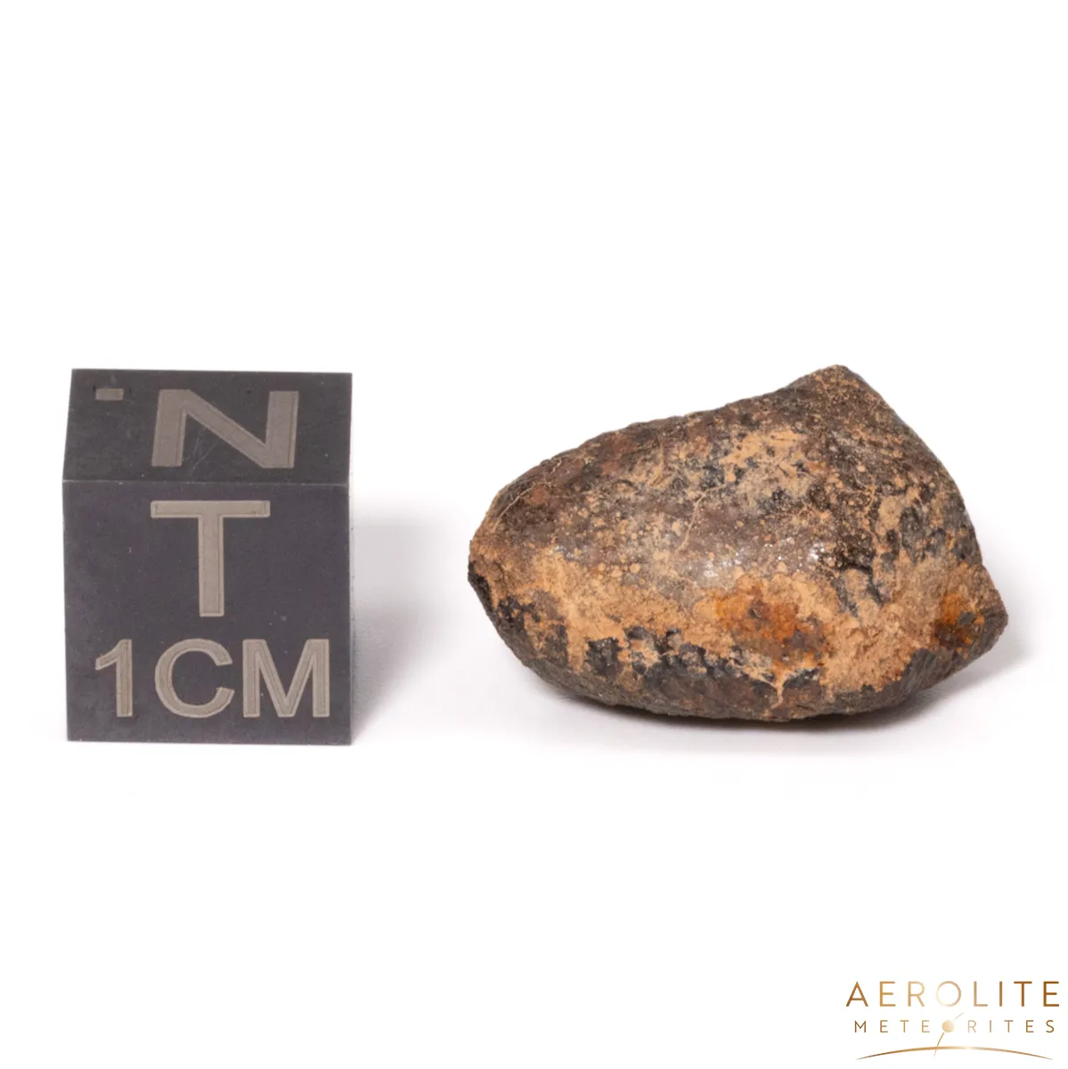 Camel Donga Meteorite 3.5g - Image 2